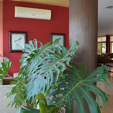 Appartement Bratanov Sunny Dreams Slantchev Briag